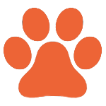 Elswick Kennels